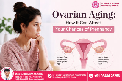Ovarian Aging: How It Can Affect Your Chances of Pregnancy